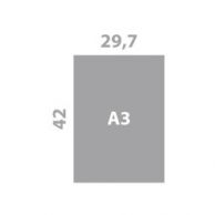 Fiches encartées 29,7 x 42 cm